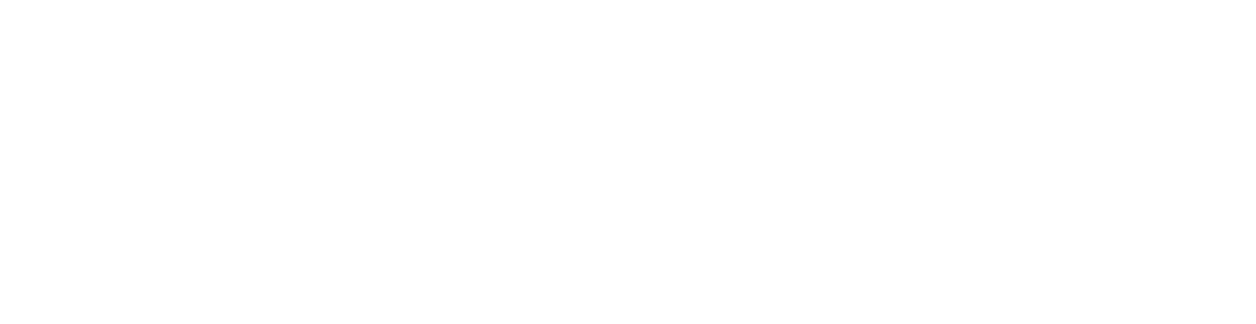 logo_IRYSA_WEBWHT